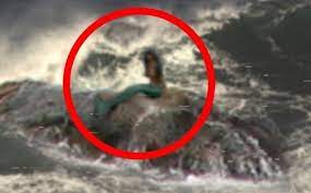 Mermaid South Africa Viral Video
